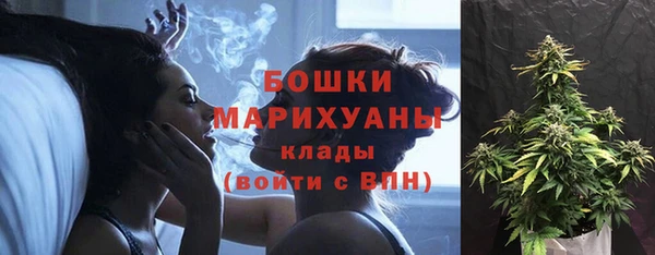 спиды Арсеньев