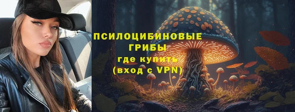 СК Алзамай