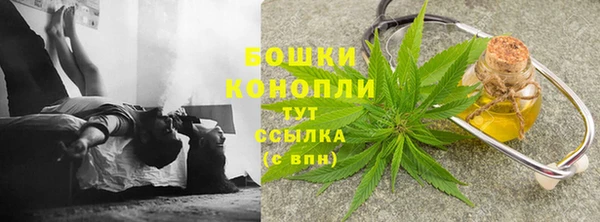 спиды Арсеньев